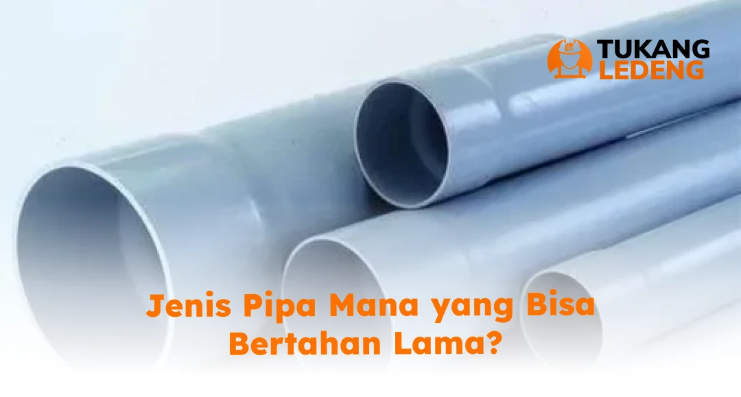 Jenis Pipa Mana yang Bisa Bertahan Lama?