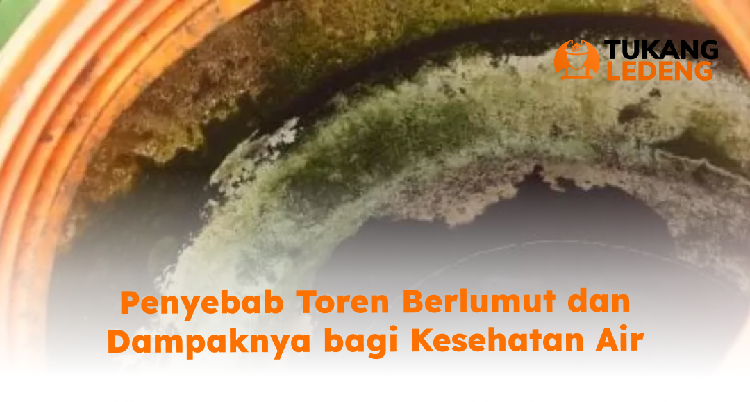 Penyebab Toren Berlumut dan Dampaknya bagi Kesehatan Air