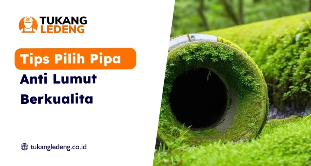 Tips Pilih Pipa Anti Lumut Berkualitas