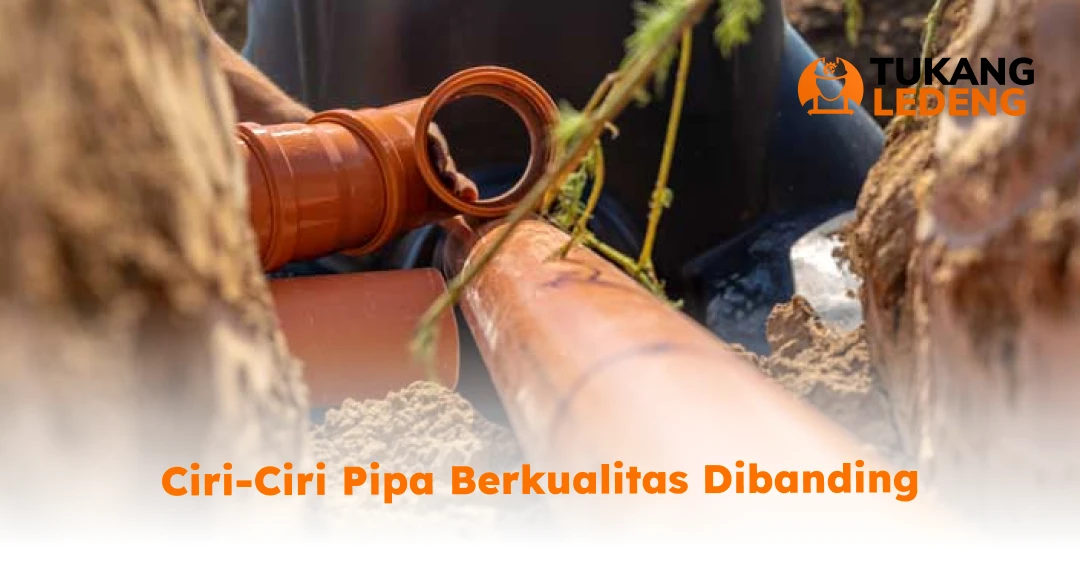 Ciri-Ciri Pipa Berkualitas Dibanding