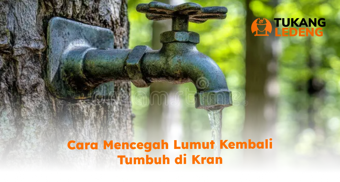 Cara Mencegah Lumut Kembali Tumbuh di Kran