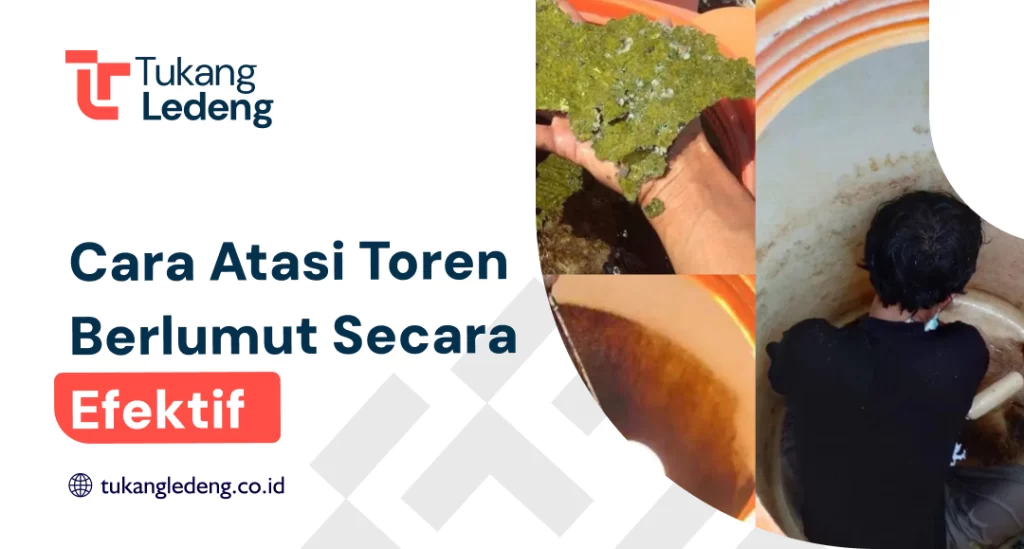 Cara Atasi Toren Berlumut Secara Efektif