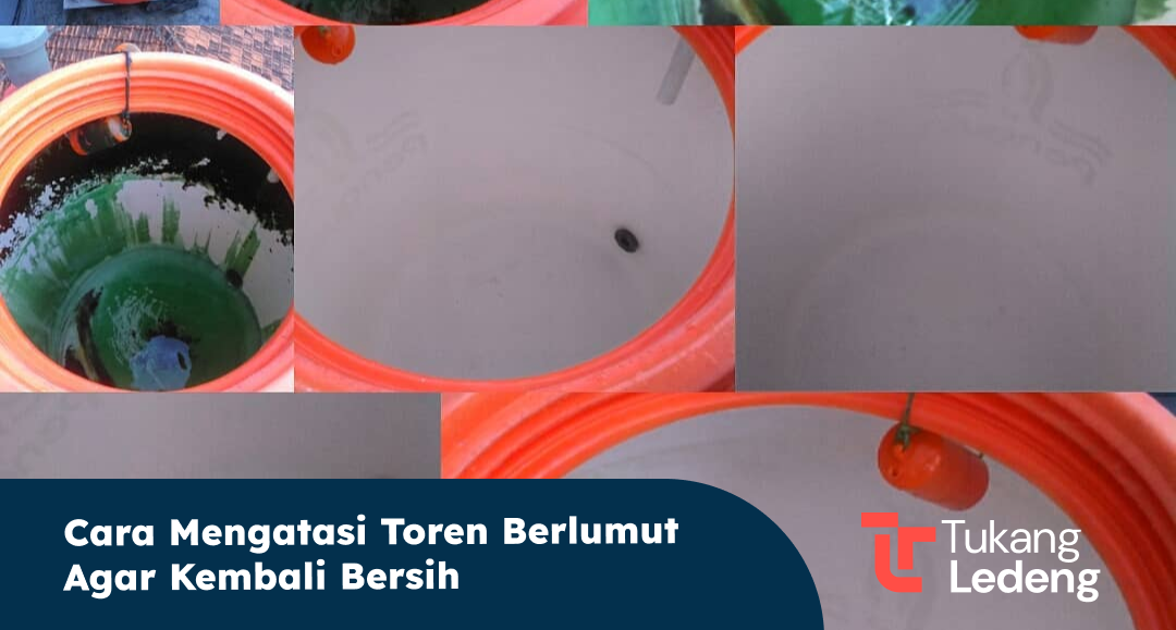 Cara Mengatasi Toren Berlumut agar Kembali Bersih